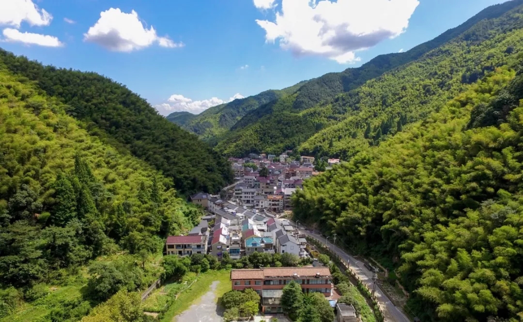案例图片