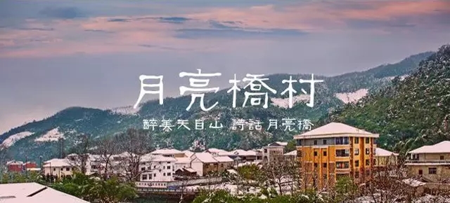 案例图片