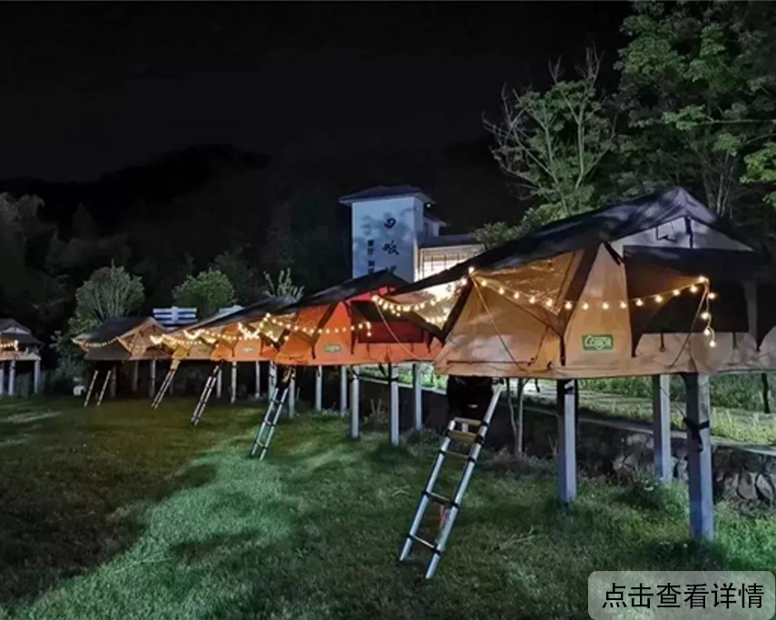 案例图片