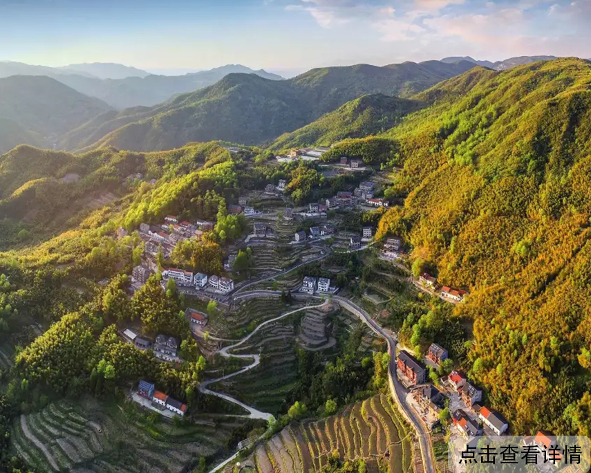 案例图片
