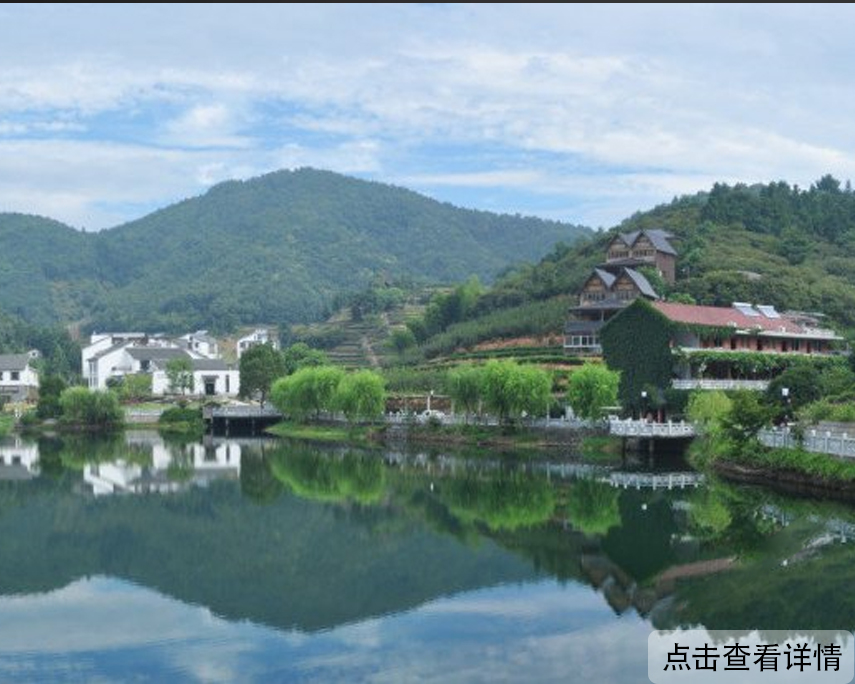 案例图片