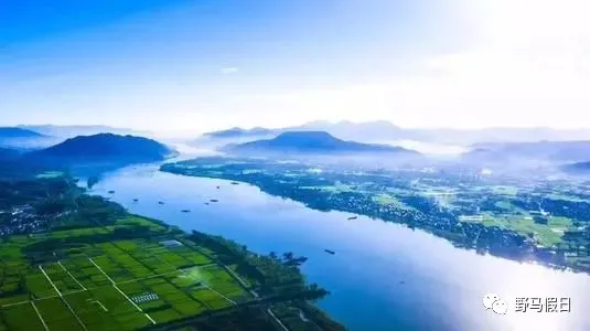 案例图片