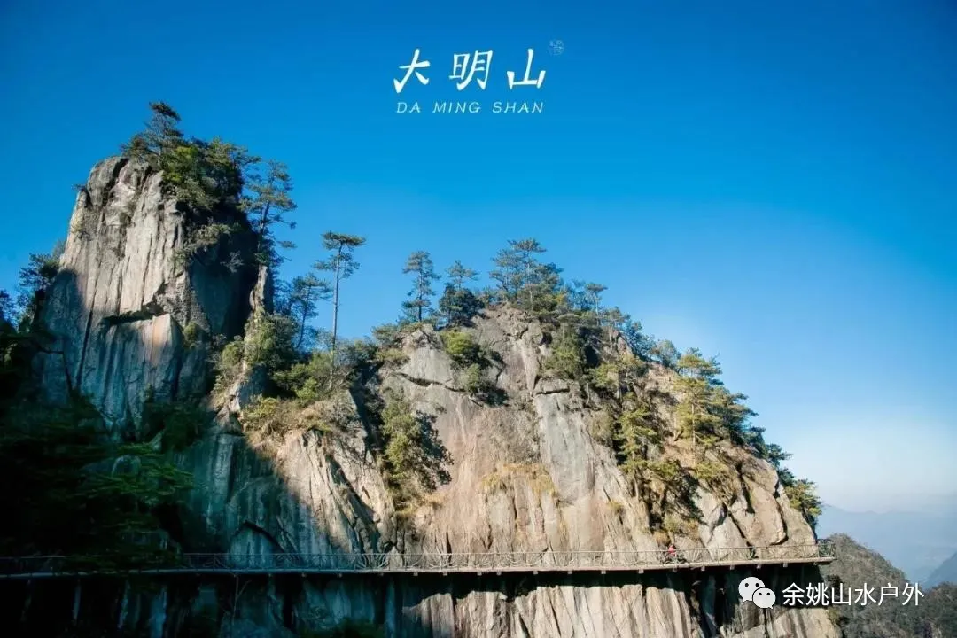 案例图片