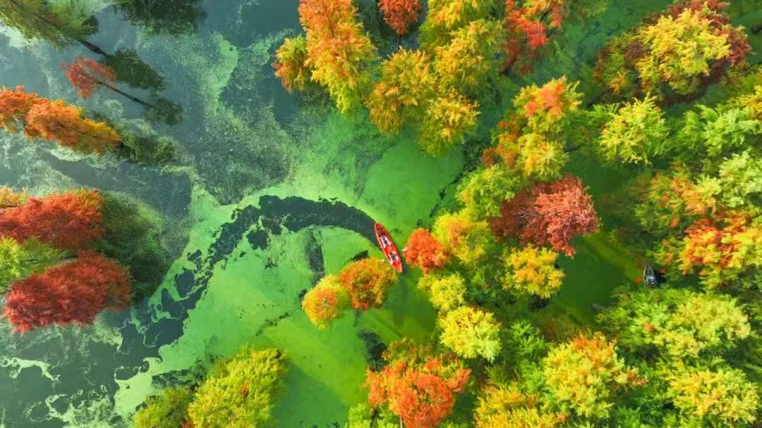 青山湖.jpg