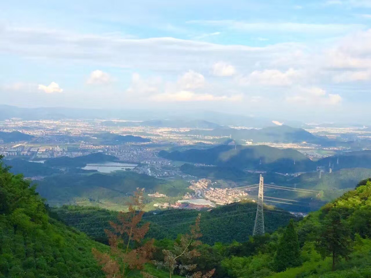 微信图片_201907121417068.jpg