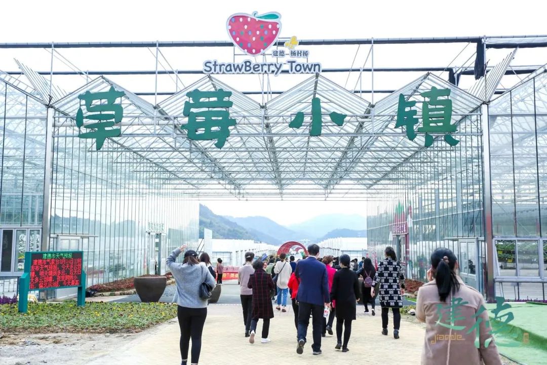 案例图片