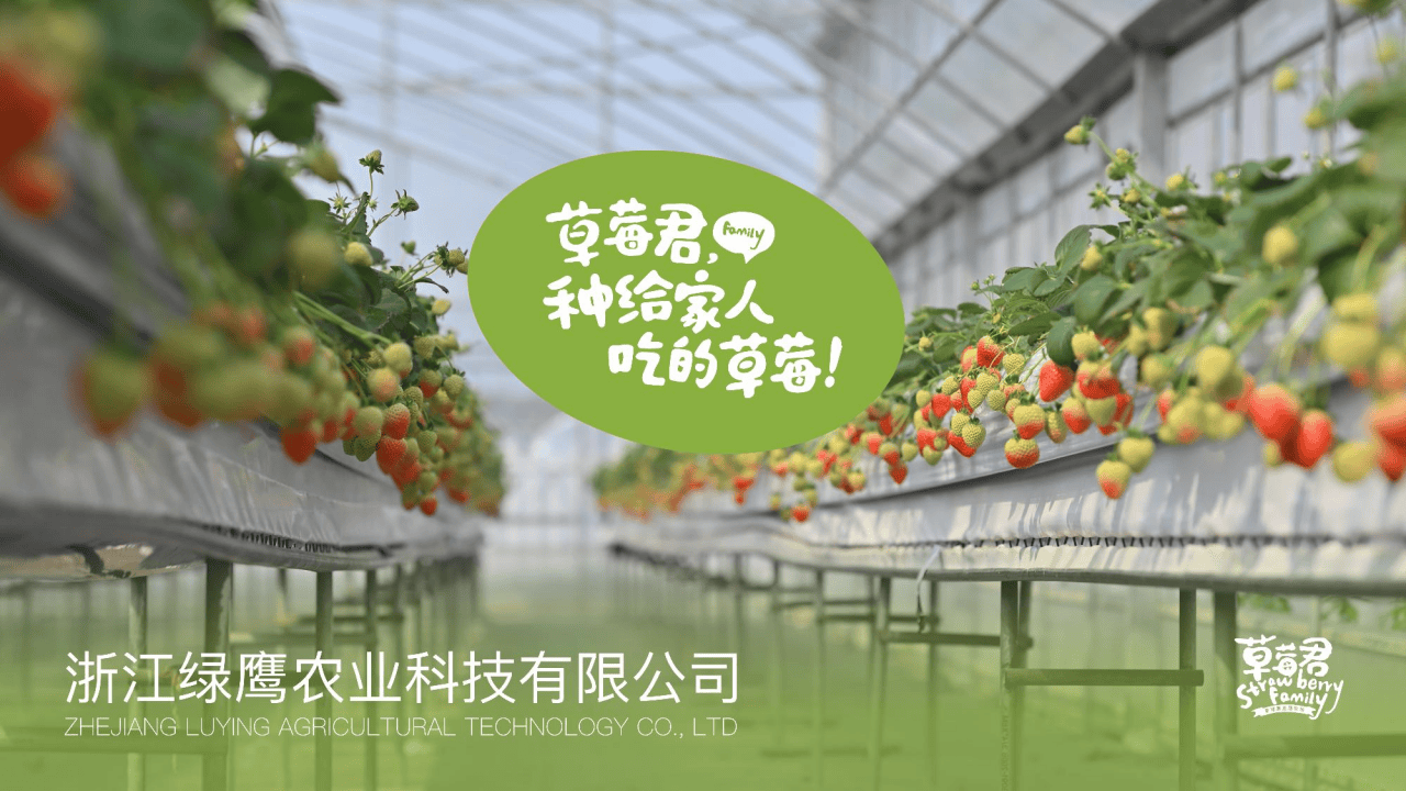 案例图片