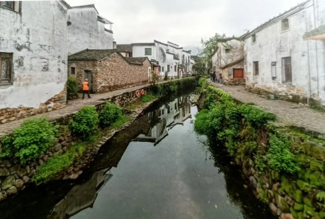 案例图片