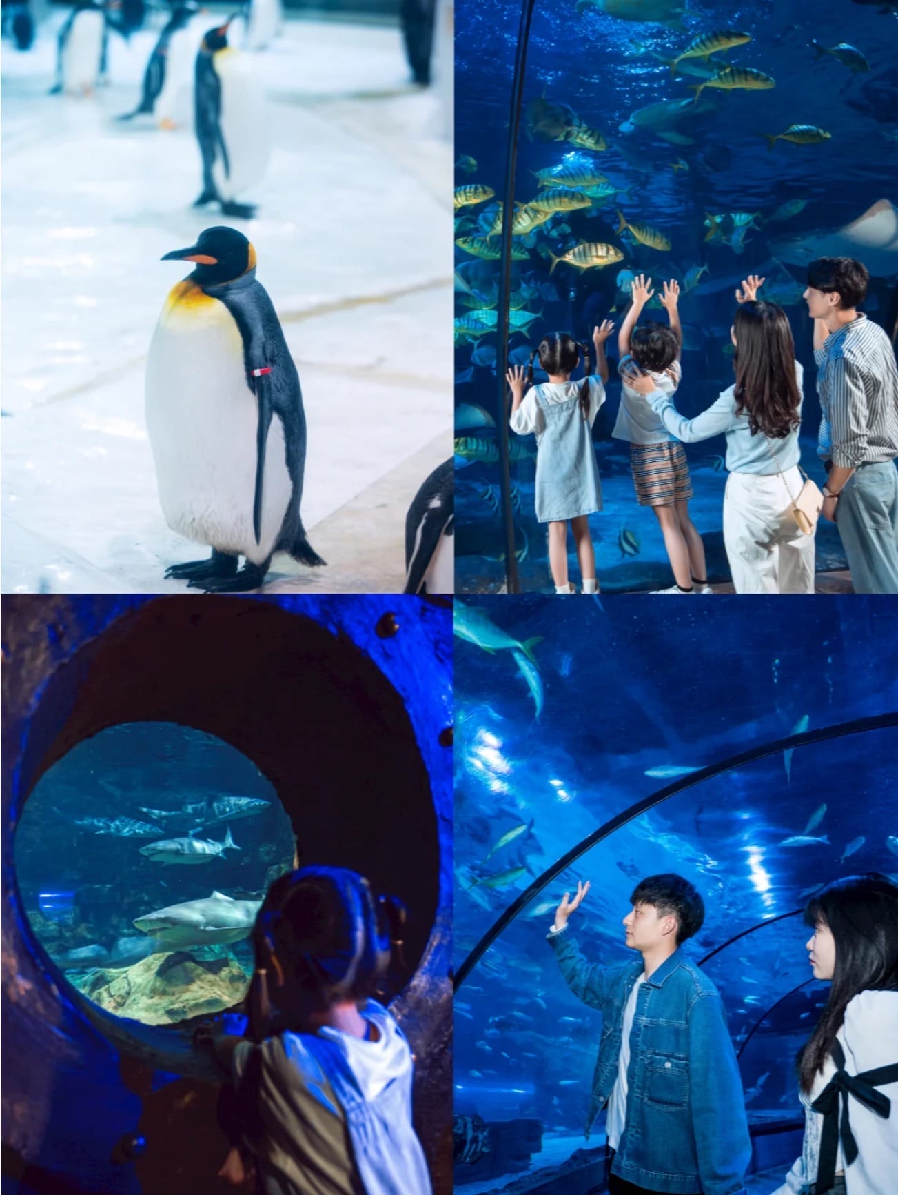 案例图片